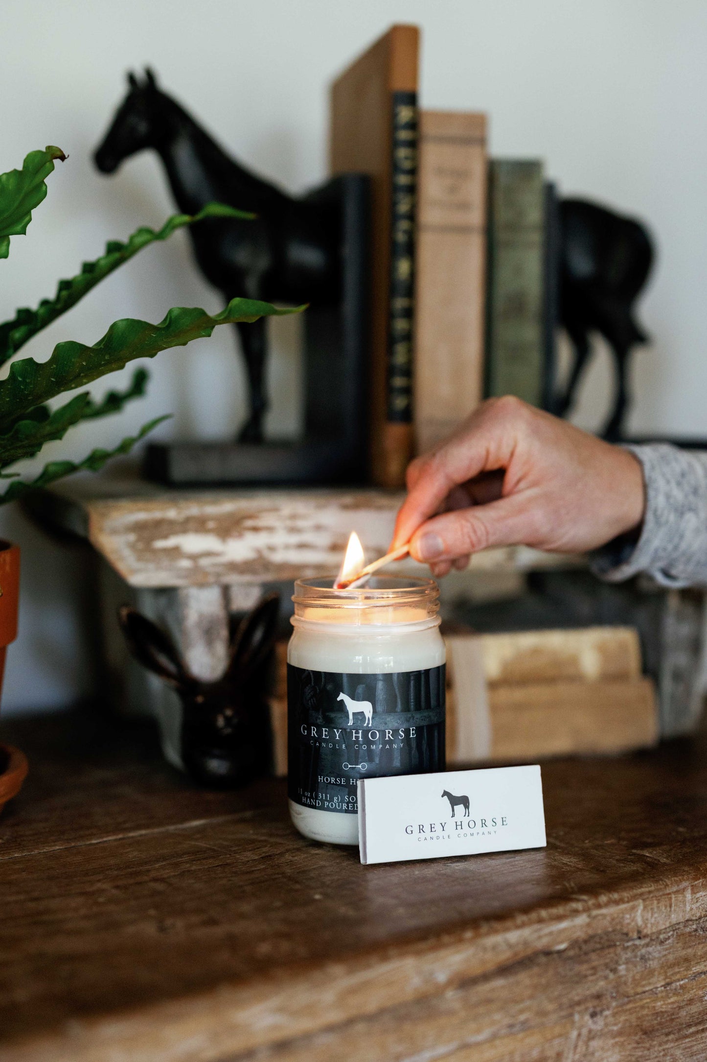 Horse Husband - Deeunta Domain